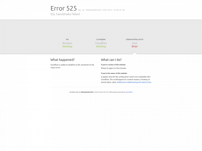 videosnovinhas.com.br snapshot