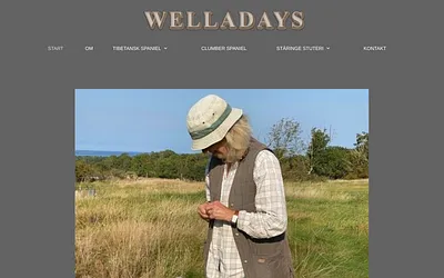 welladays.se snapshot