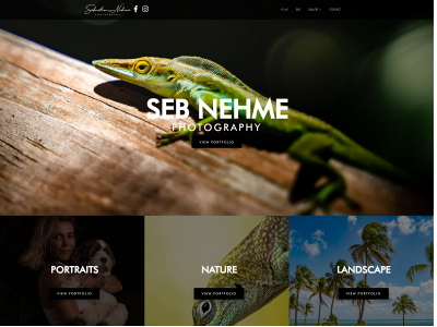 sebnehmephoto.com snapshot