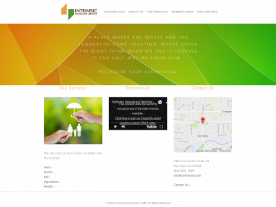 intrinsicins.com snapshot