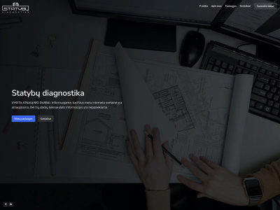 statybudiagnostika.lt snapshot