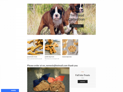 swaggywaggytreats.weebly.com snapshot