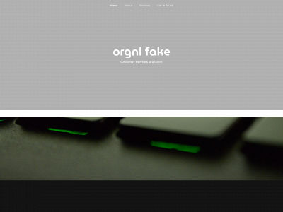theorgnlfake.com snapshot