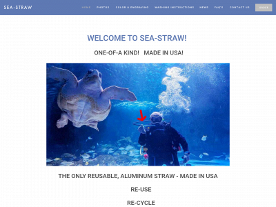 www.sea-straw.com snapshot