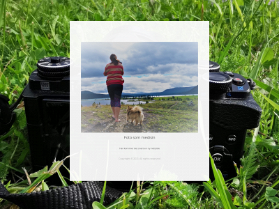 fotosommedisin.no snapshot