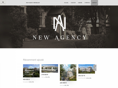 newagencyimmobilier.com snapshot
