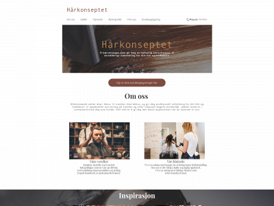 kundeinformasjonen.no snapshot