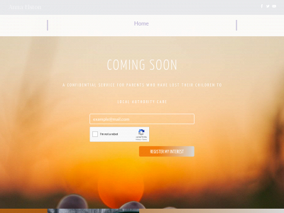 annaelston.com snapshot