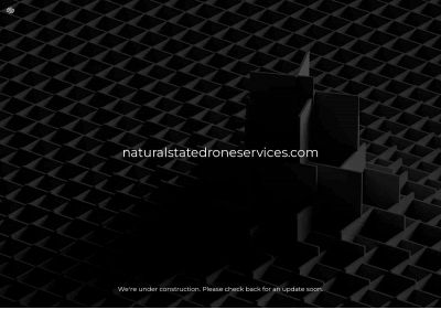 naturalstatedroneservices.com snapshot