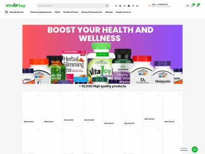 vitjoy.com snapshot
