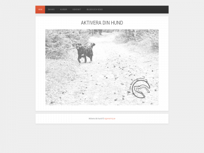 aktiveradinhund.se snapshot