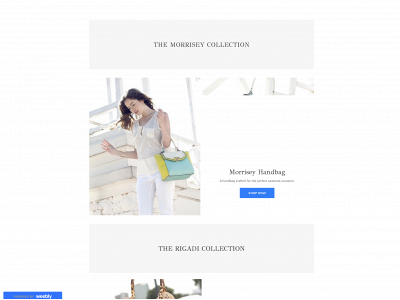 the-blue-panda.weebly.com snapshot