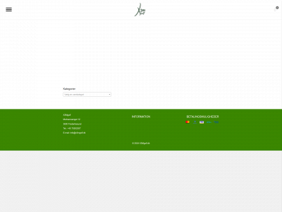 udvikling.online snapshot