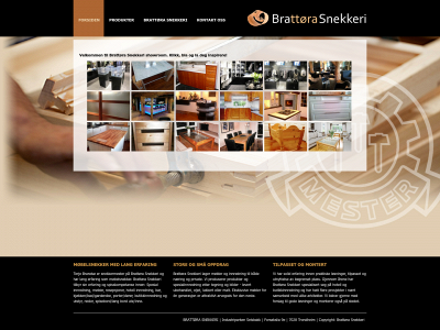 brasnekkeri.no snapshot