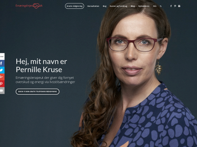 ernaeringslinjen.dk snapshot