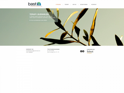 bastterapi.dk snapshot