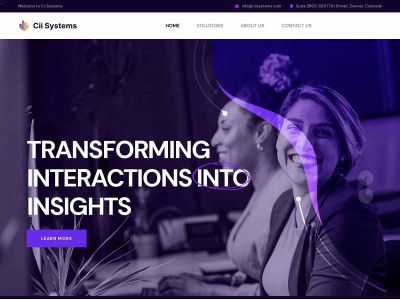 ciisystems.com snapshot