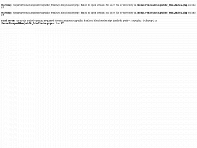 vidahotel.net snapshot