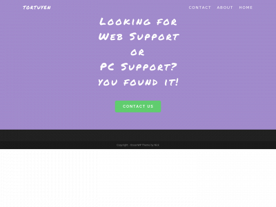 tortuyen.com snapshot
