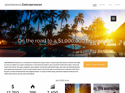theinexperiencedentrepreneur.com snapshot