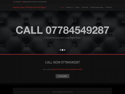 exquisiteladies.co.uk snapshot