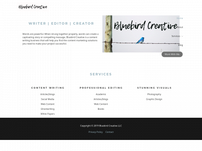 bluebirdcreativesolutions.com snapshot
