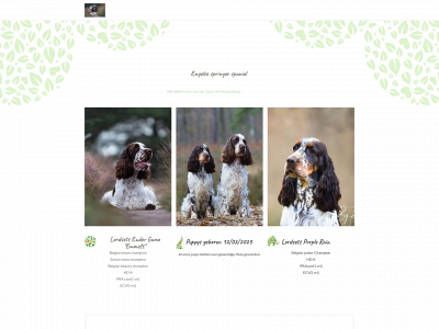 engelsespringer.be snapshot