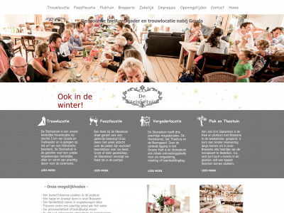 steinsetuin.nl snapshot