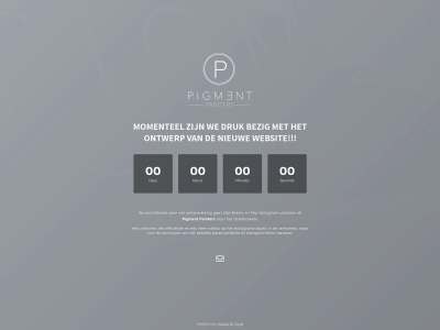 pigmentpainters.be snapshot