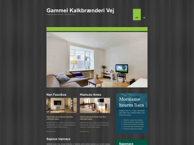 ejvind.dk snapshot