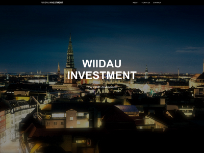 wiidau.com snapshot