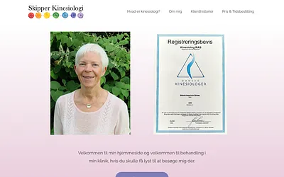 skipperkinesiologi.dk snapshot