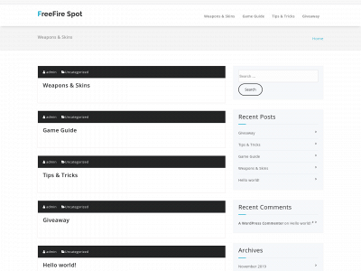 ffspot.com snapshot