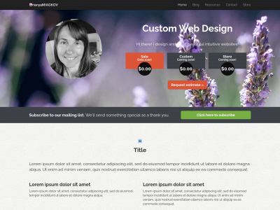 tmcustomwebdesign.com snapshot
