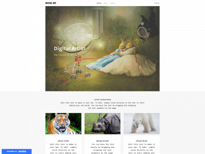 digitalartistblog.weebly.com snapshot