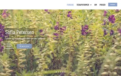 sofiapetersen.dk snapshot
