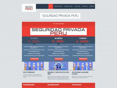 seguridadprivadaperu.com snapshot