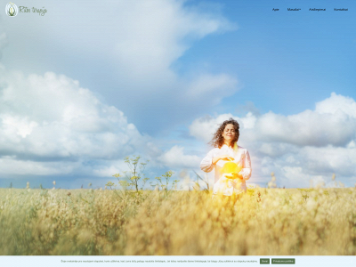 ritosterapija.lt snapshot