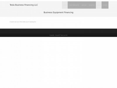 teslabizfin.com snapshot
