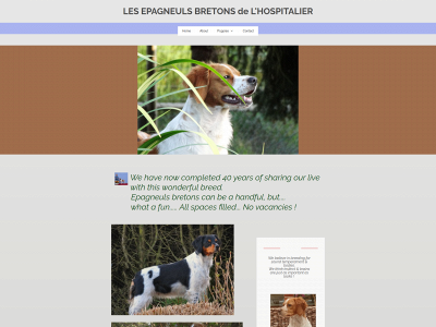 epagneul-breton.be snapshot