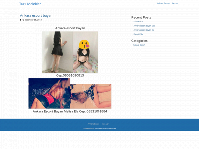 turkmelekler.xyz snapshot