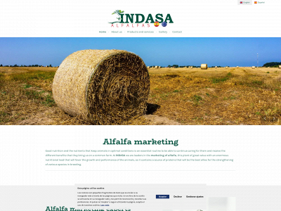 alfalfasindasa.es snapshot