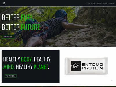 entomopower.com snapshot