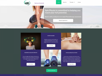 spinphysio.co.uk snapshot