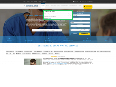 www.nursingwritingservices.com snapshot
