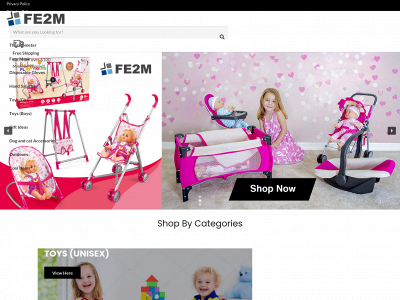 fe2m.com snapshot