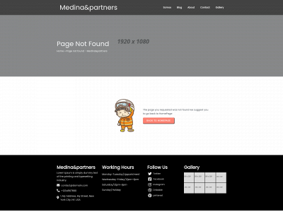 medinaandpartners.com snapshot