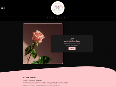 defyaestheticboutique.com snapshot