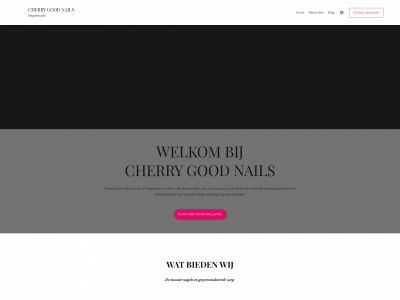 cherrygoodnails.nl snapshot