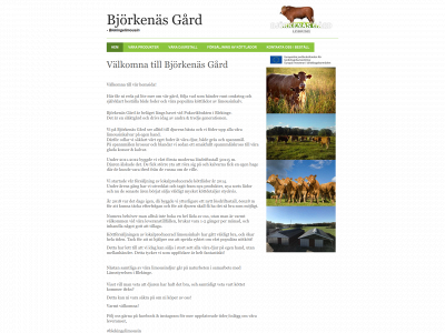 blekingelimousin.se snapshot